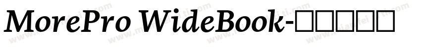 MorePro WideBook字体转换